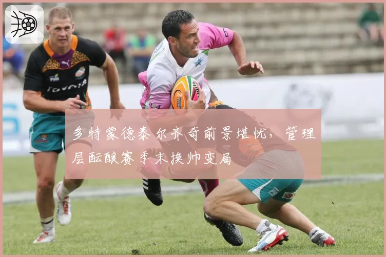 多特蒙德泰尔齐奇前景堪忧，管理层酝酿赛季末换帅变局