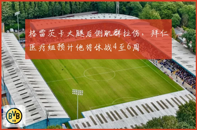 格雷茨卡大腿后侧肌群拉伤，拜仁医疗组预计他将休战4至6周