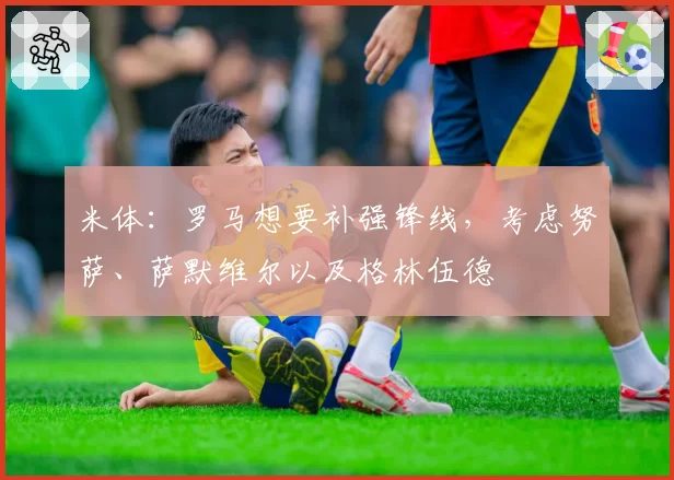 米体:罗马想要补强锋线,考虑努萨、萨默维尔以及格林伍德
